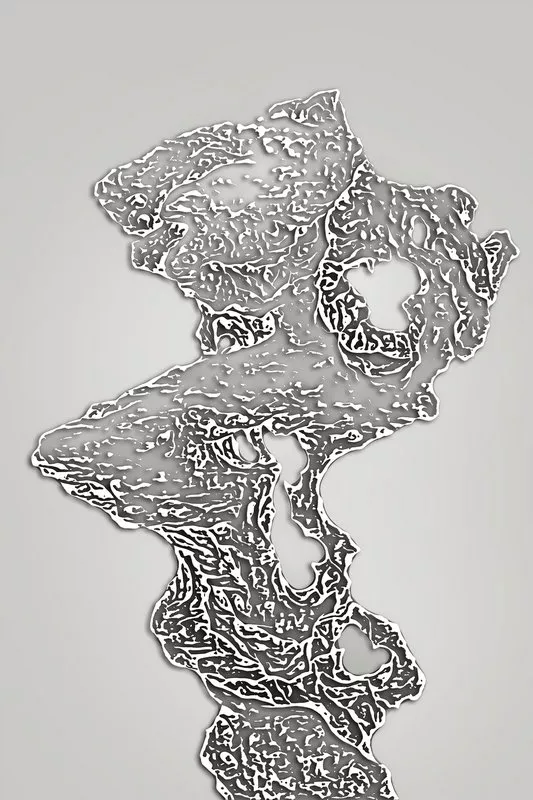 1710324379129938.webp
