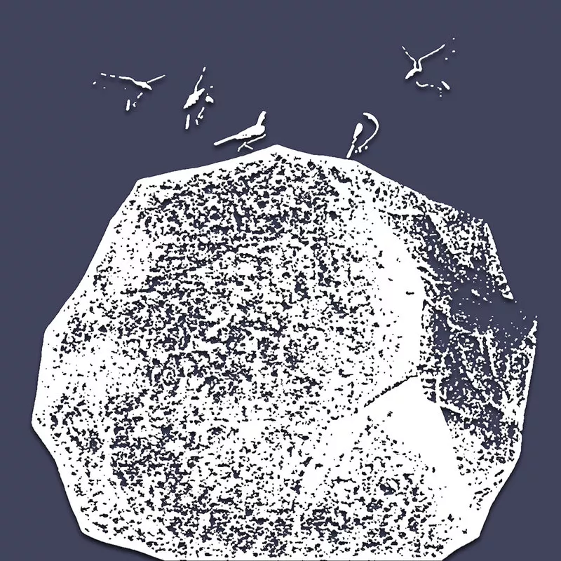 1710325639243947.webp