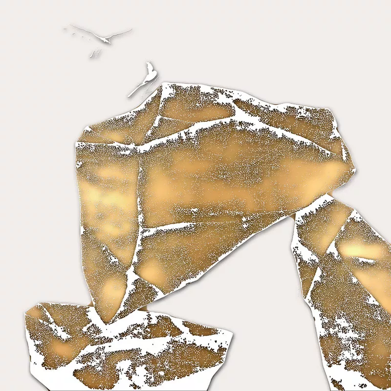 1710326095696297.webp