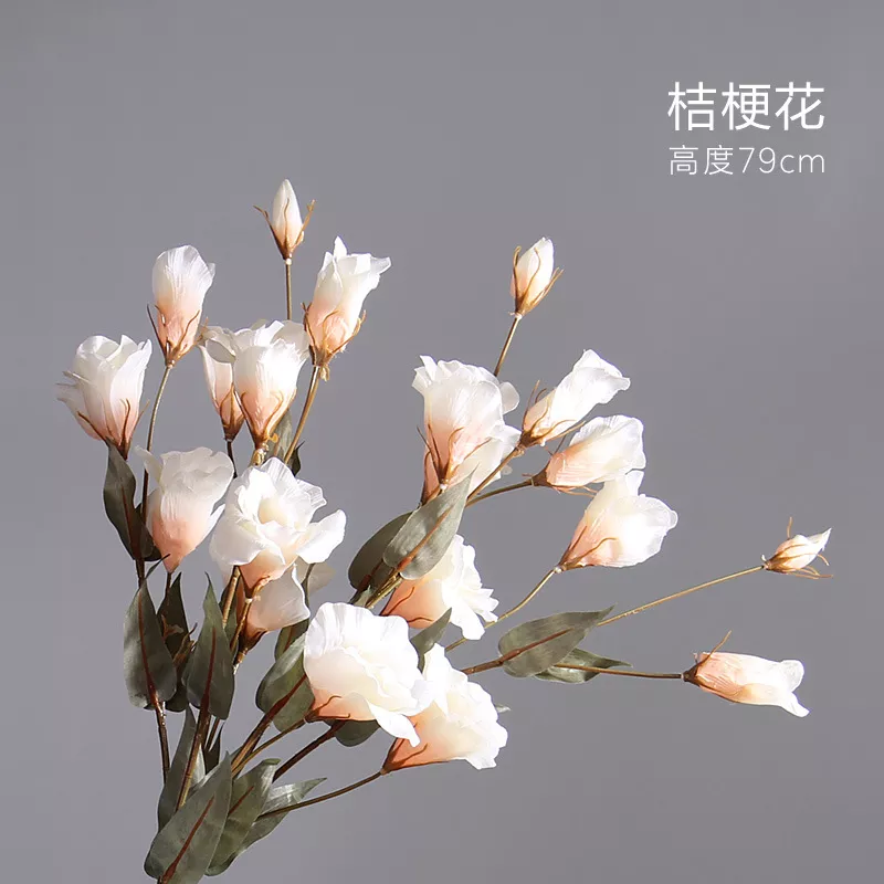 1712834780118612.webp