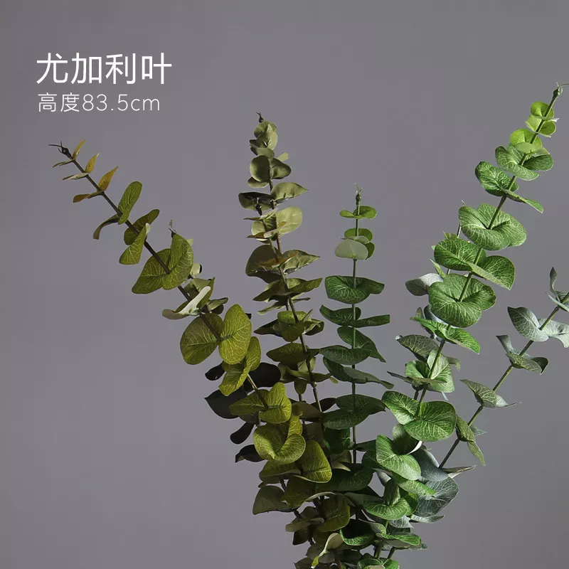1712834780572666.webp
