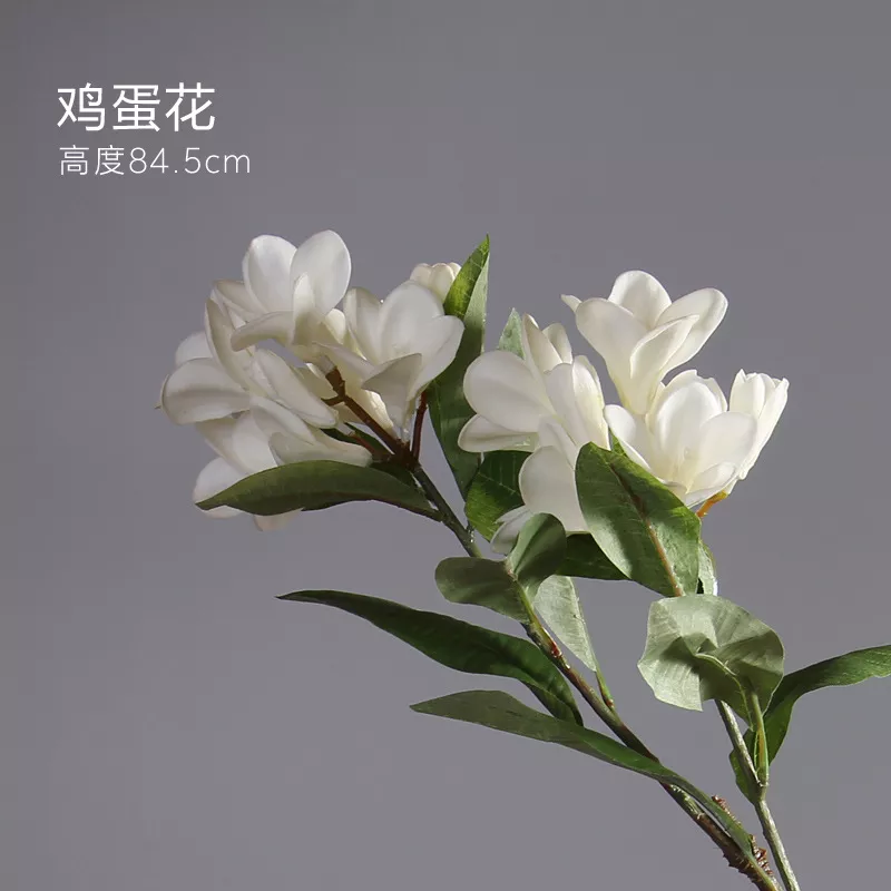 1712834780763857.webp