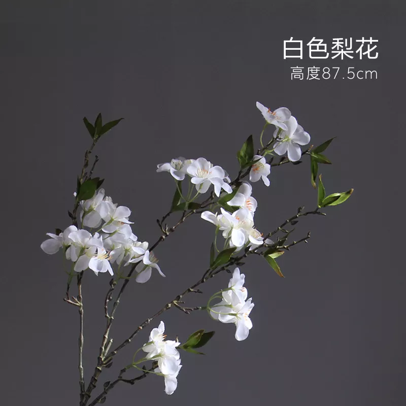 1712834781609846.webp