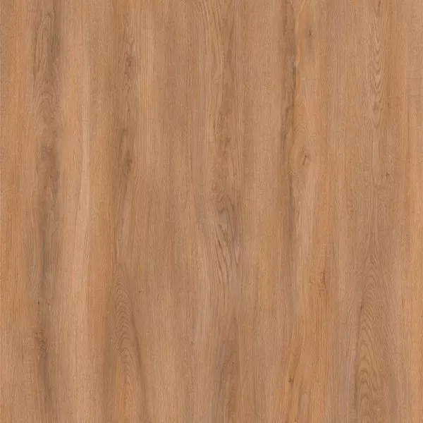 1713852567506139.webp