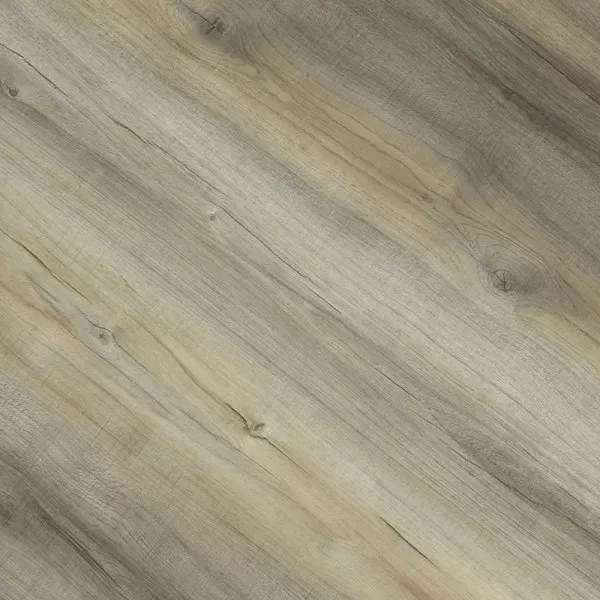 1713927971361897.webp