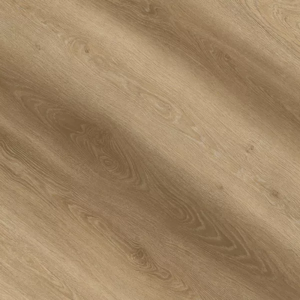 1713936596692037.webp