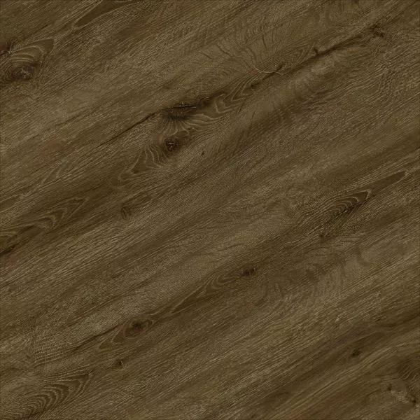 1713941481292142.webp