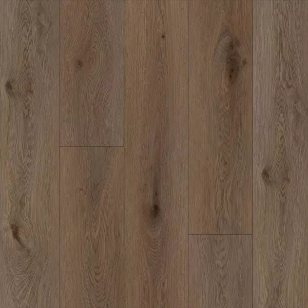 1713943463116013.webp
