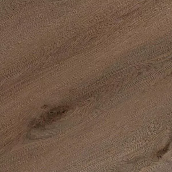1713943463725343.webp