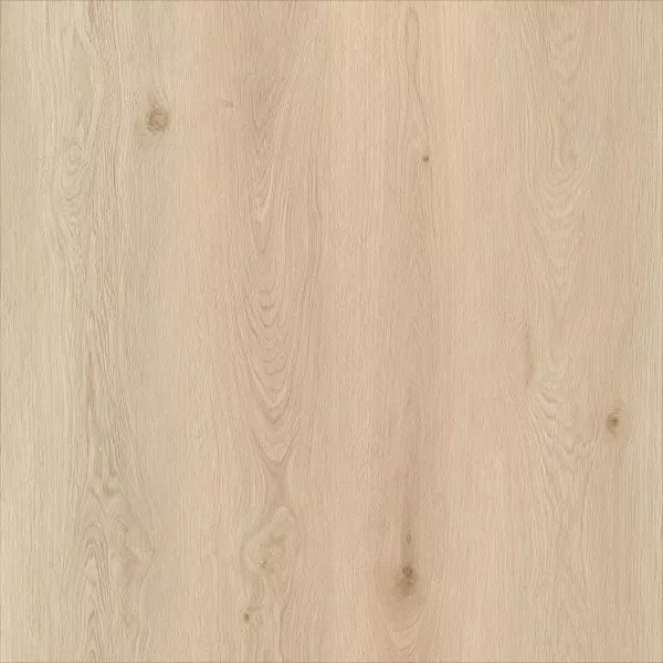 1713944661329623.webp