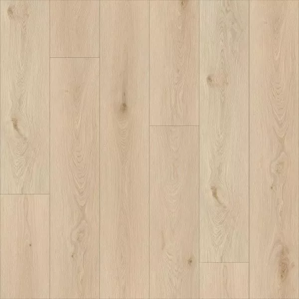 1713944661798282.webp