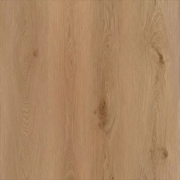 1713944759119198.webp