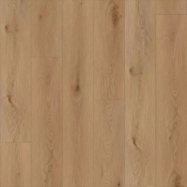 1713944759376528.webp