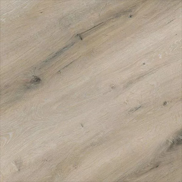 1713948675112691.webp
