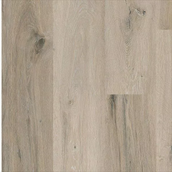 1713948675121956.webp