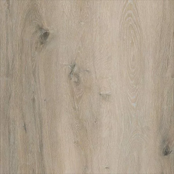 1713948675156334.webp