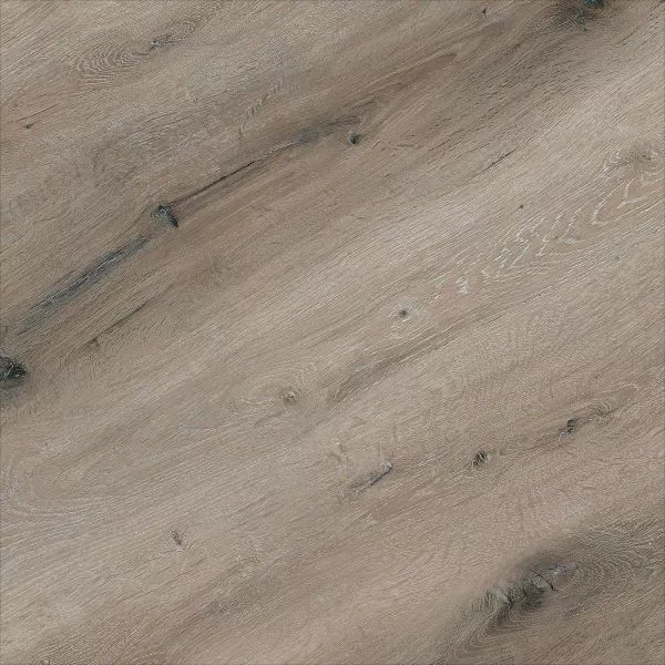 1713948869136724.webp
