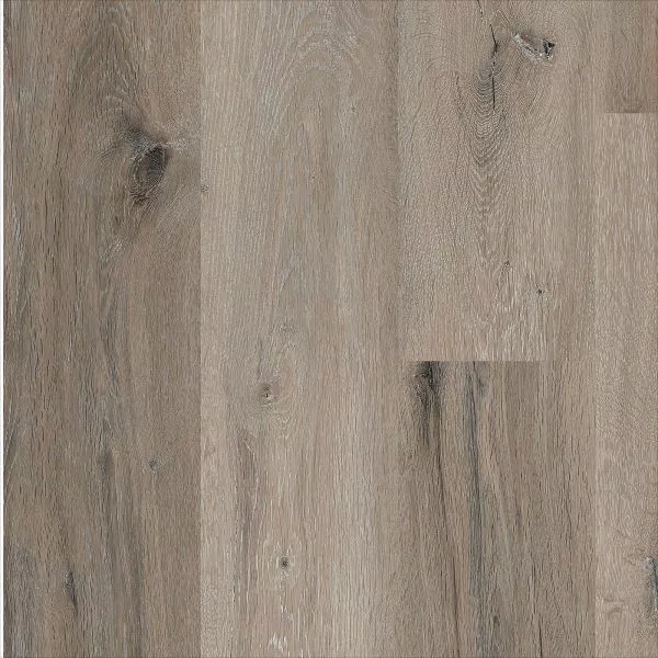 1713948869767084.webp