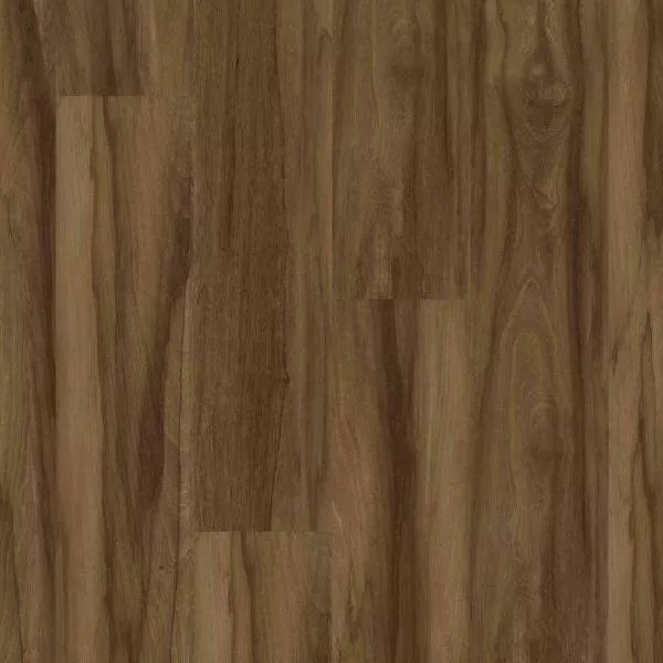 1714014556698577.webp