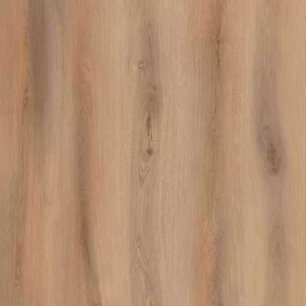 1714015859487679.webp