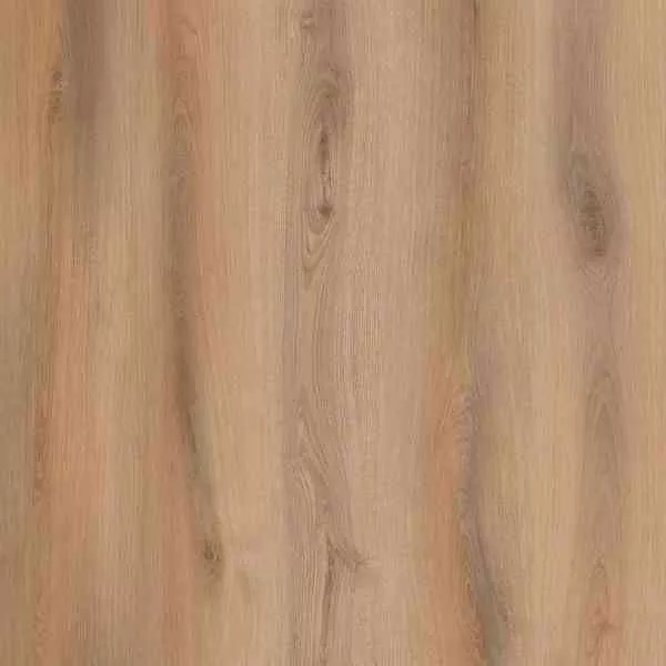 1714015859763039.webp