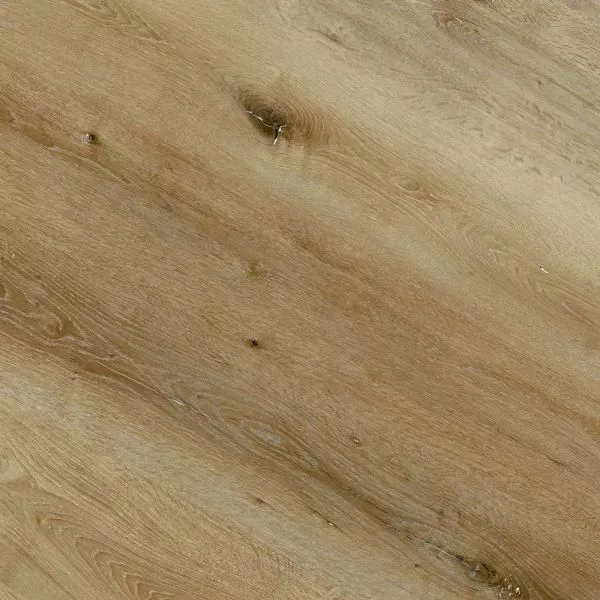 1714016111772678.webp