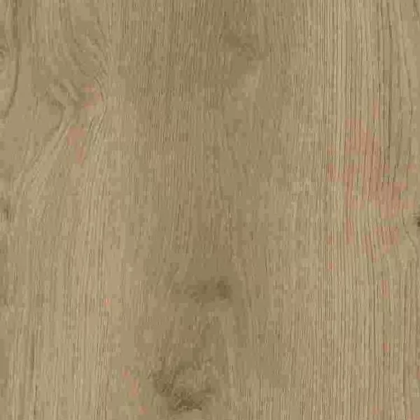 1714029904803059.webp