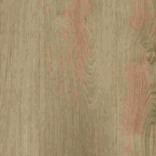 1714029904861238.webp