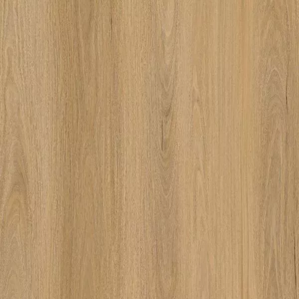 1714030261763168.webp