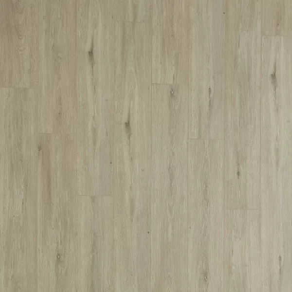 1714036348803833.webp