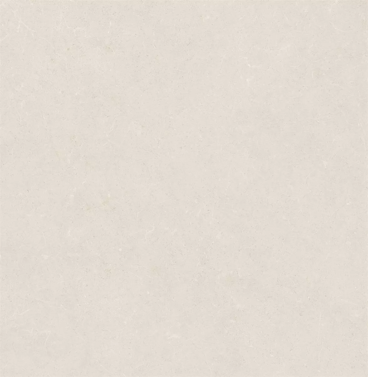 1714985101118371.webp 1714985101118371.webp