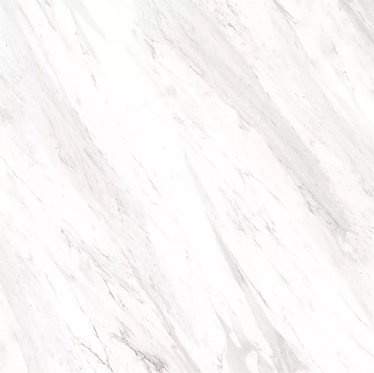 1714985321718372.webp 1714985321718372.webp