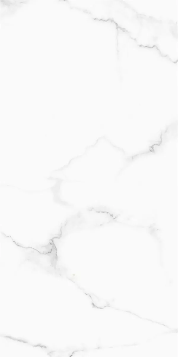 1714986686138872.webp 1714986686138872.webp