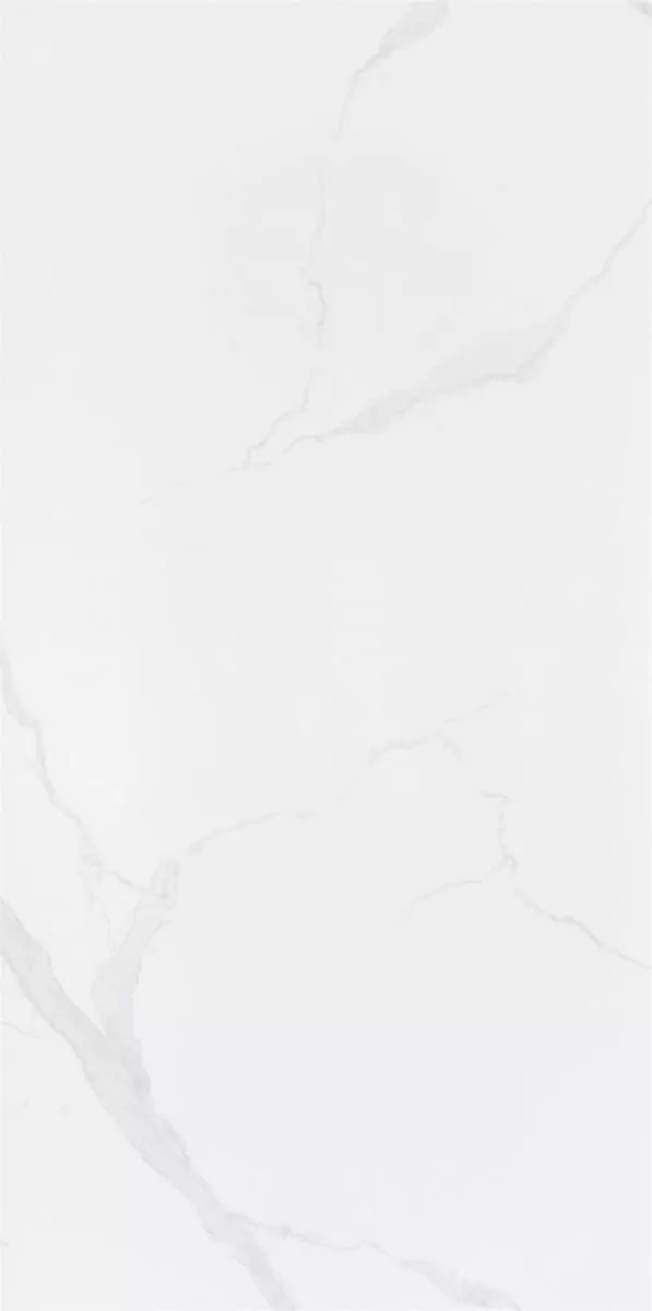 1715051739796862.webp 1715051739796862.webp