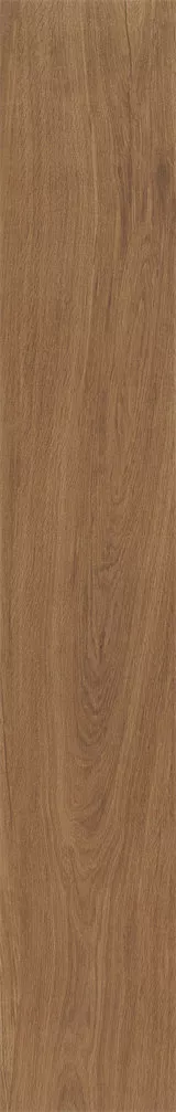 1715053676649005.webp 1715053676649005.webp