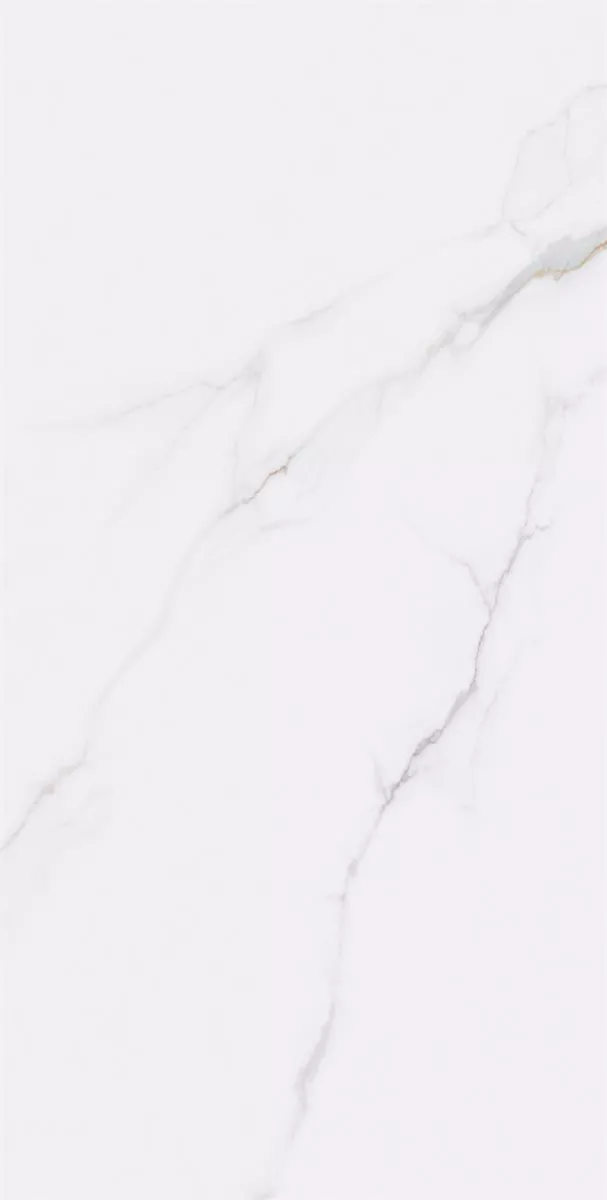 1715066703959737.webp 1715066703959737.webp