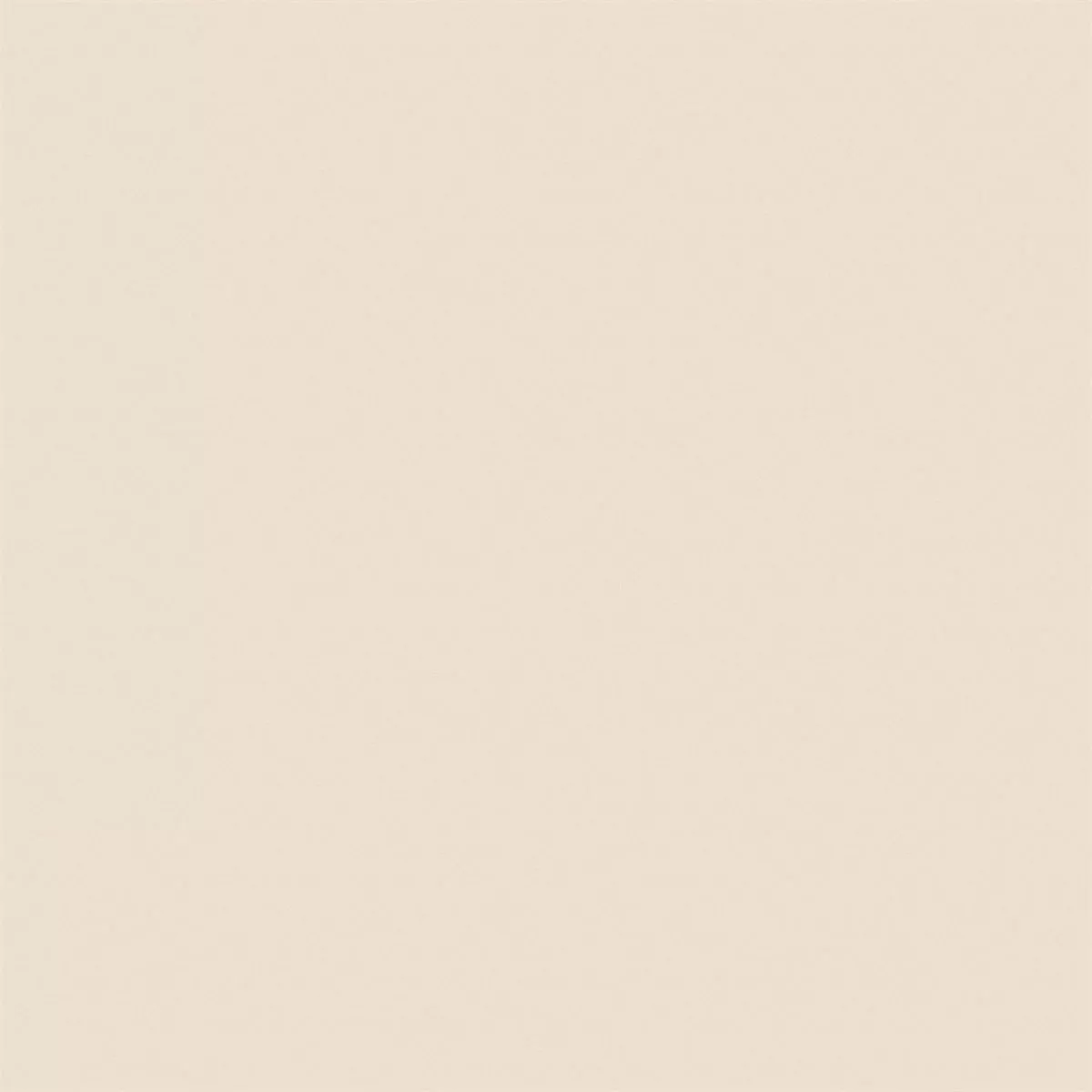 1715066858108853.webp 1715066858108853.webp