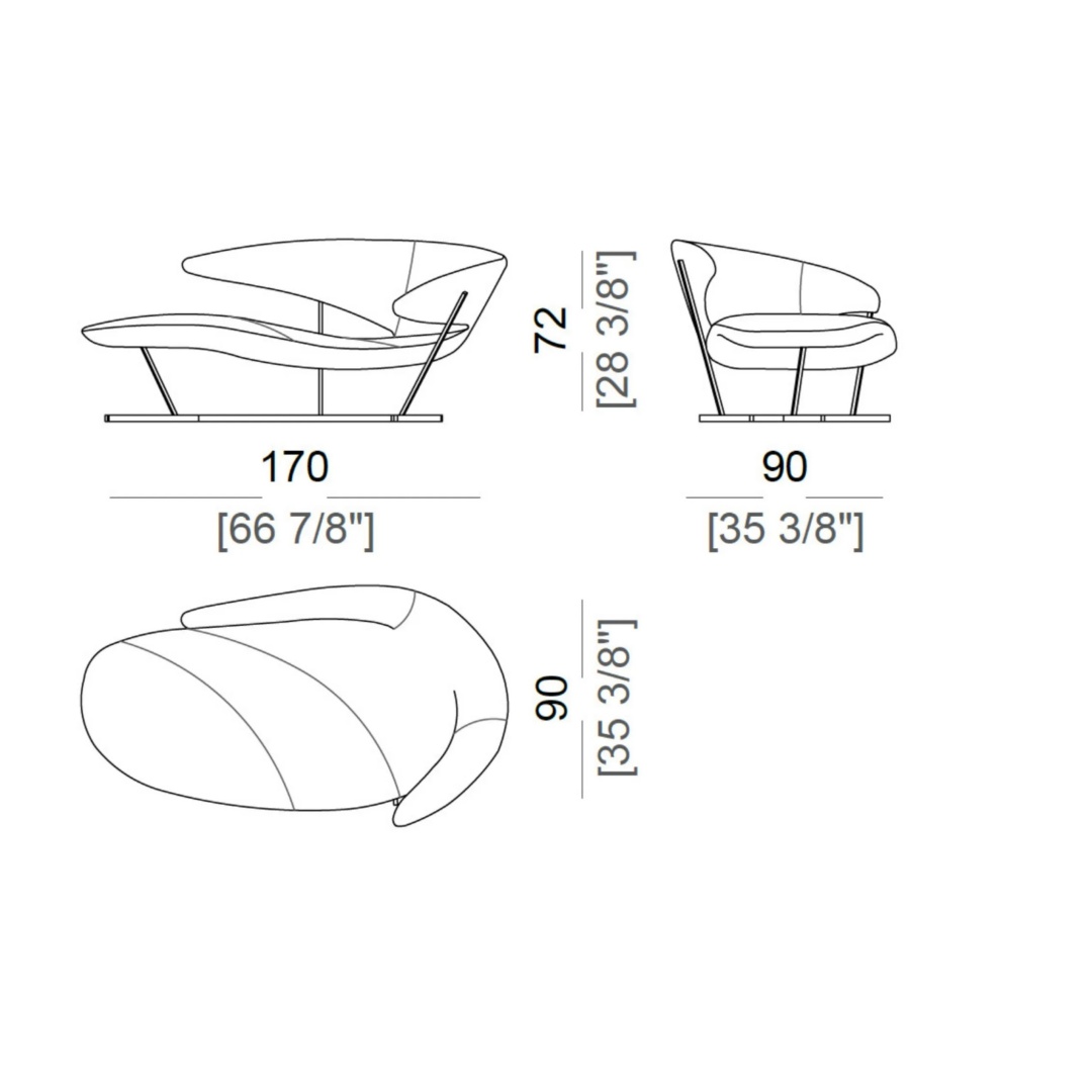 Arketipo MANTA-1.jpg